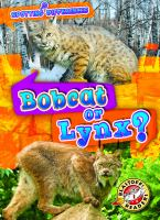 Bobcat_or_lynx_